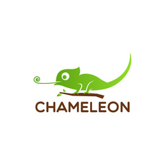 chameleon logo Design Vector illustration  © Jukyelabs