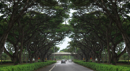 park in the city