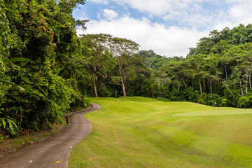 Plakat Landscape at the golf course. Tropical zone