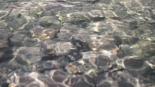 Clear water of a mountain stream.