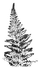 Fern leaf. Ink stamp isolated on white background.