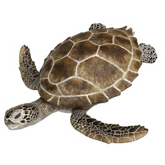 3d rendered green sea turtle isolated on white background