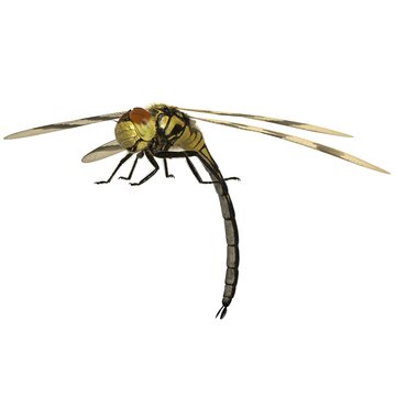3d rendered halloween pennant dragonfly