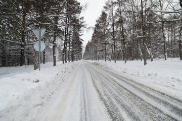 Road through the winter forest