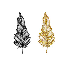 Set of gold and black bird feathers with a pattern. Hand vector illustration isolated on white background. For cover design, print, business card, icon, template.