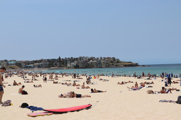 Obraz premium Sydney beaches