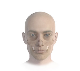 Face, head, anatomy digital illustration