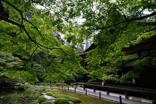 南禅院 Images Browse 50 Stock Photos Vectors And Video Adobe Stock