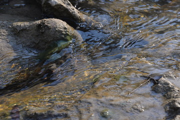 the sea coast in the afternoon with waves and splashes, the sea coast with stones.