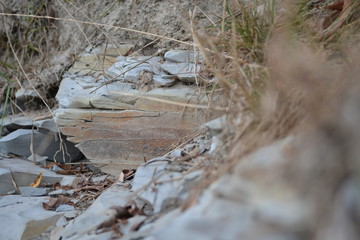 the sea coast in the afternoon with waves and splashes, the sea coast with stones.