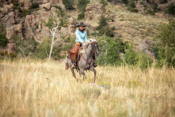 Cow Girl On Rocky Mountain Horse
