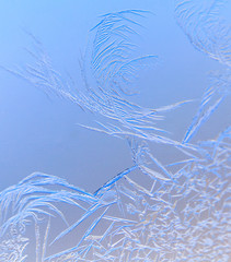 Natural pattern on glass at dawn of the sun.