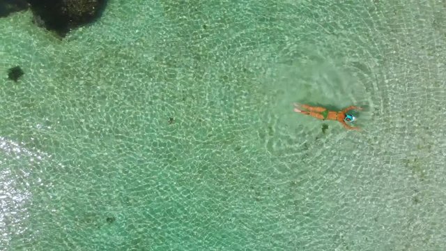 Beautiful European girl swims and snorkels in turquoise transparent water near coral reef by day. Drone top view.