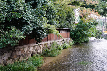 京都、白川の流れ