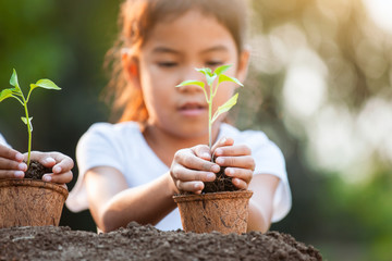 Cute asian child girl holding young tree for planting in recycled fiber pots in the garden with fun