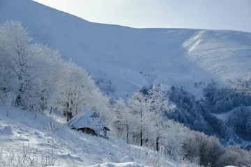 Fotobehang Winter mountains landscape. Karphatians wiev. Karpaty © Andrey Cherlat