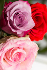 pink and red roses as background