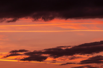 sunny sunset in nature in yellow-pink tones