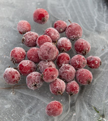 frozen berries on a background of ice
