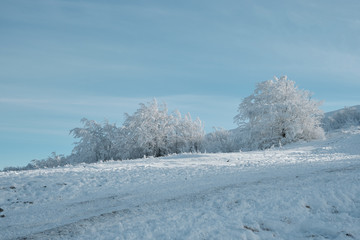 Obraz premium Winter mountains landscape. Karphatians wiev. Karpaty
