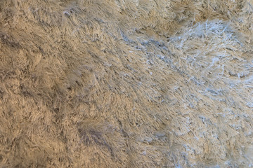 carpet. Background. Textile texture. - Image