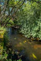 Obraz premium Malše is a river in Austria and in the Czech Republic, and a right tributary of the Vltava.