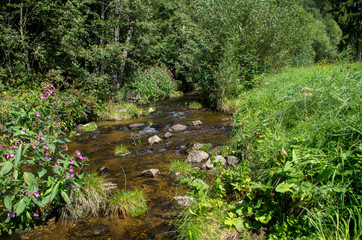 Fototapeta premium is a river in Austria and in the Czech Republic, and a right tributary of the Vltava.