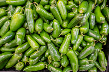 Green pablano chilis in a pile ready for sale.