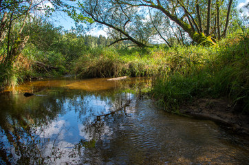 Malše is a river in Austria and in the Czech Republic, and a right tributary of the Vltava.