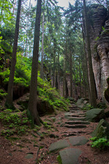 The Prachov Rocks (Czech: Prachovsk&eacute; sk&aacute;ly), rock formation in the Czech Republic approximately 5 kilometres west of Jicin. Since 1933, they have been a protected natural reserve.