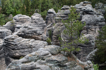 The Prachov Rocks (Czech: Prachovsk&eacute; sk&aacute;ly), rock formation in the Czech Republic approximately 5 kilometres west of Jicin. Since 1933, they have been a protected natural reserve.