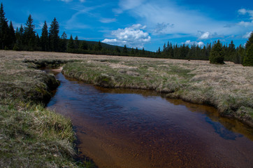 Obraz premium Jizera stream near to settlement Jizerka in Czech Republic