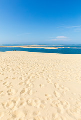 Fototapeta na wymiar View from the Dune of Pilat, the tallest sand dune in Europe. La Teste-de-Buch, Arcachon Bay, Aquitaine, France