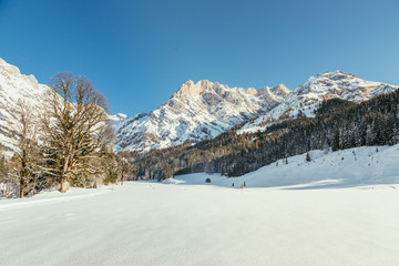 Sunny Winter Landscape The Nature