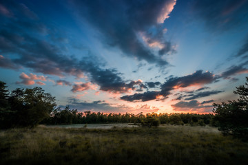 swamp with sunrise