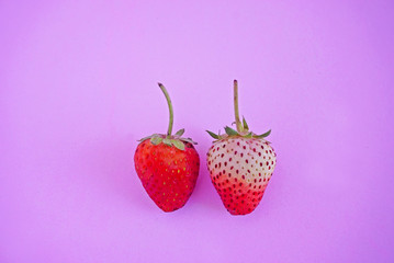 Strawberry isolated on the pink scene or pink background