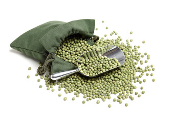 soya beans on white background 