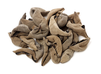 black fungus on white background