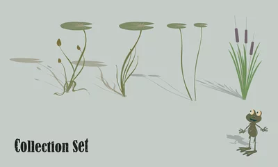 Foto op Canvas Aquatic vegetation and life. Water lilies, reeds, frog. Set of vector illustrations for design. © Glukoejik