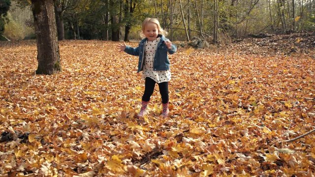 Cute Little Girl Playing Under Falling Leaves in Autumn Season