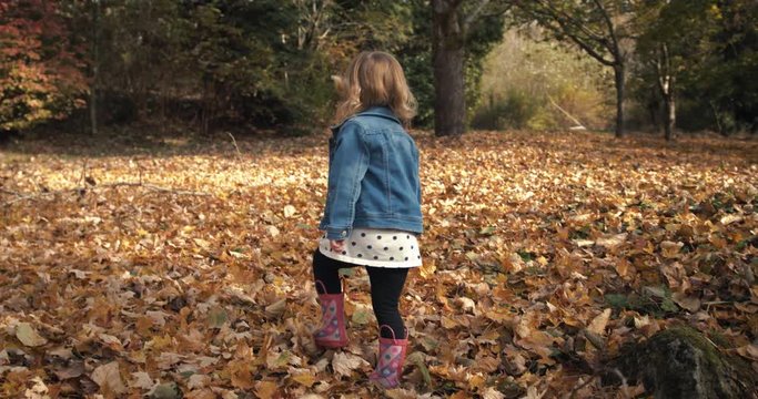 Adventurous Little Girl Playing in Fall season Leaves at Local Park
