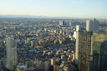 Fototapeta na wymiar A view from above Tokyo