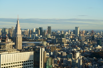 Fototapeta na wymiar A view from above Tokyo