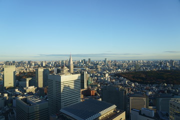 A view from above Tokyo