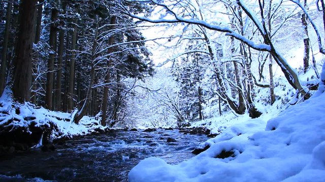 冬の渓流　雪景色