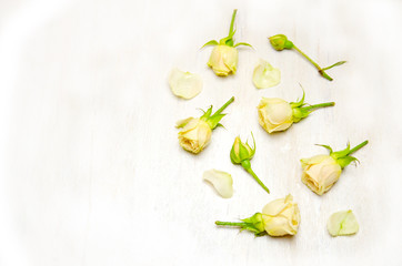 Fototapeta na wymiar yellow rose buds and petals on a wooden white background with space