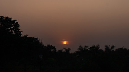 Orange, yellow sunset or sunrise over the thick, dark, dense forest, setting perfect environment for romance. 