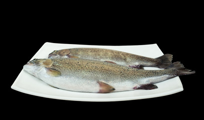 Two raw rainbow trout fish