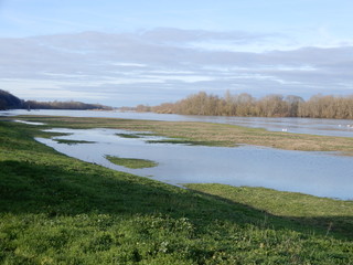 La Loire en hiver, Chaumont sur Loire, Loir et Cher, Val de Loire, France
