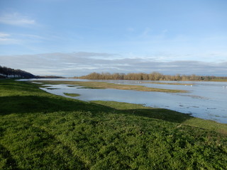 La Loire en hiver, Chaumont sur Loire, Loir et Cher, Val de Loire, France